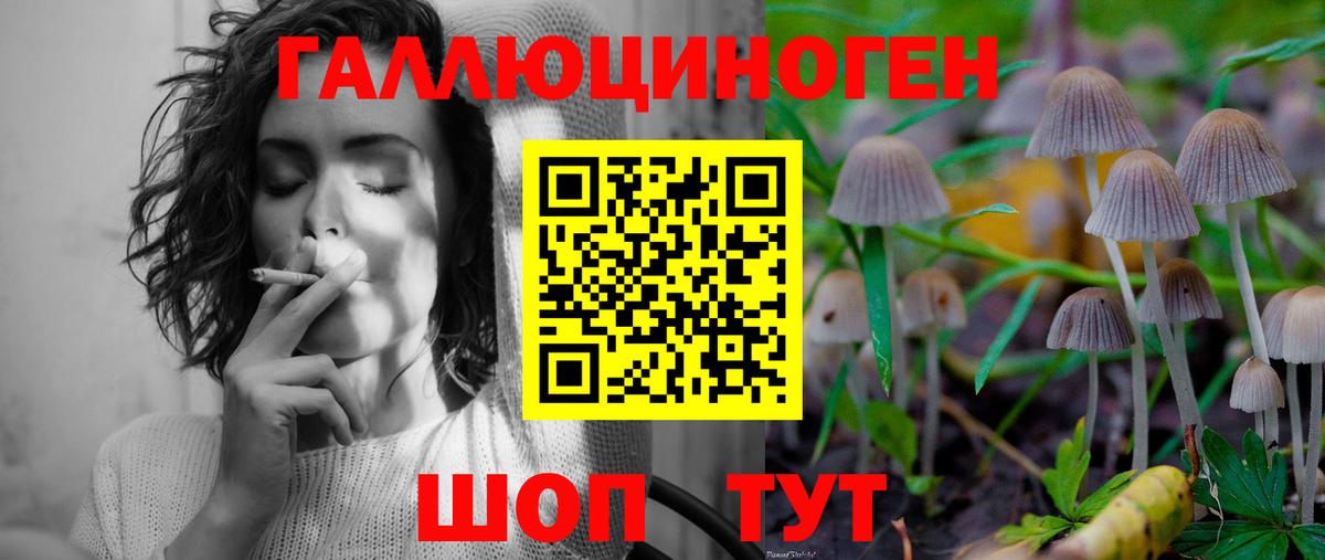 Псилоцибиновые грибы мицелий Шарыпово